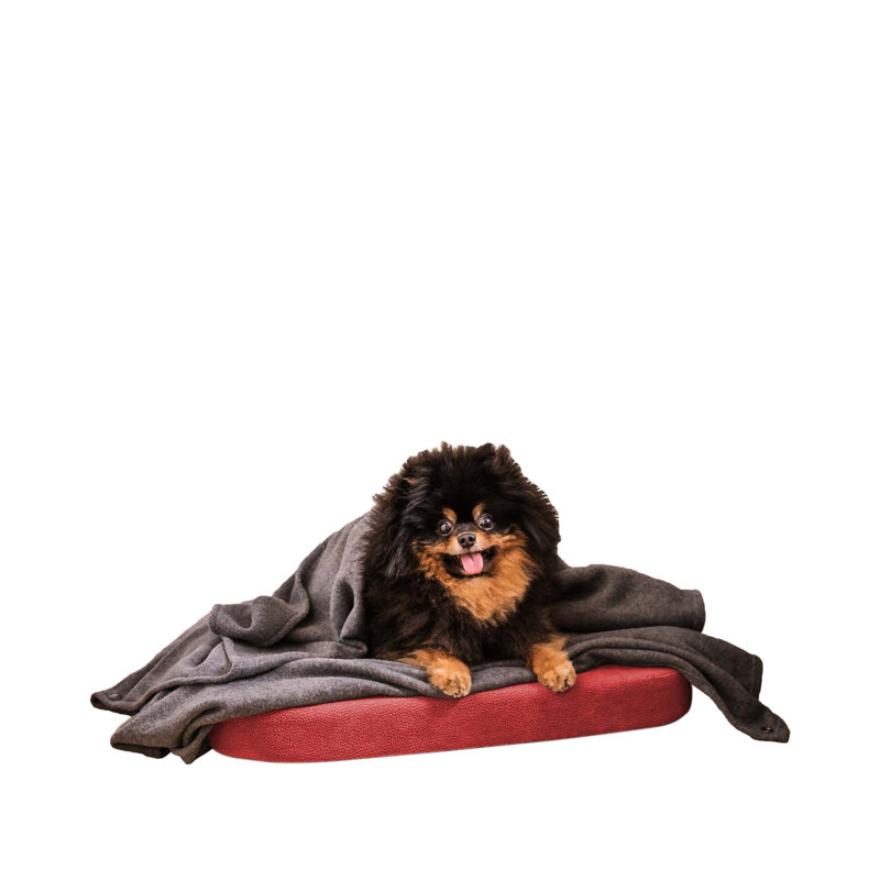 Orthopedic Microfibre Pet Bed, Small (60cm W x 40cm D), Red
