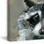 Look Raccoon by Julia Posokhova - Wrapped Canvas Painting-1024941583