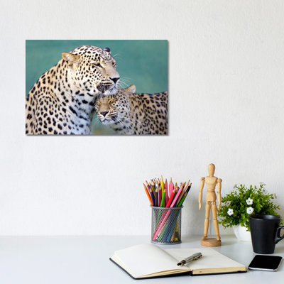 Leopards Love by Goran Anastasovski - Wrapped Canvas Print
