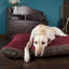 Hilton Orthopedic Polyester Pet Bed-563718012-563718015