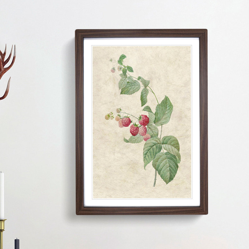 Raspberry Plant by Pierre-Joseph Redoute - Picture Frame Painting Print, Walnut Framed, 65cm H x 48cm W x 2cm D