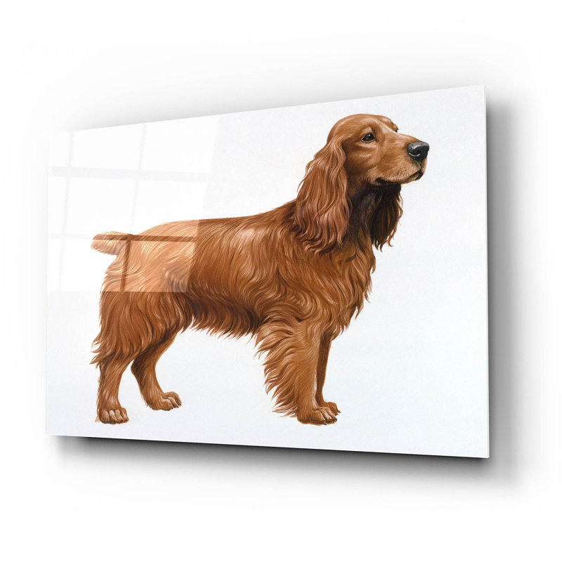 «Cocker Spaniel» par Harro Maass, Latitude Run®, art mural en verre acrylique, H 16 po x l 24 po x P 0,2 po