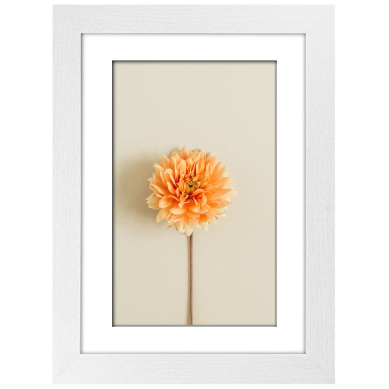 Picture Frame with Mat, White