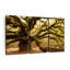 Impression sur toile Mossy-98865734