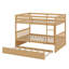 Lit superposé en bois polyvalent avec lit gigogne, échelle et rails de sécurité, convertible en 2 lits-55714292