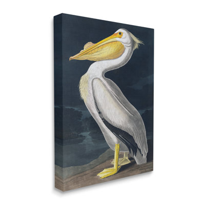 «Pelican On Night Shore On Canvas» par Incado