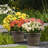 Plastic Flower Plant Pots Set of 4-900570931-900571087