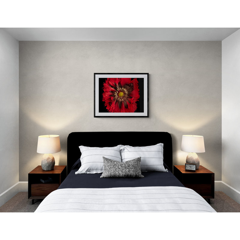 Harold Davis - Papaver Hybridium 'Naughty Nineties' Print by Harold Davis, Wrapped Canvas, 24" H x 32" W