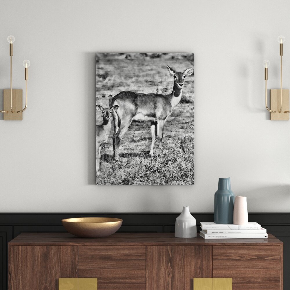 Leinwandbild Indische Gazelle mit Jungtier in Monochrom