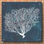 «Inverse Sea Fan II» par Grace Popp - peinture sans cadre-1608666223