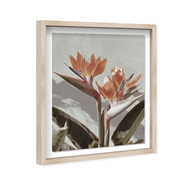Coral Flower Shadowbox Floral & Botanical Print by Oliver Gal, Black Frame, 16 x 20, Natural Oak Shadowbox, 25.5"H x 31.5"W