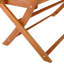 Karla Solid Wood Eucalyptus Outdoor Bench