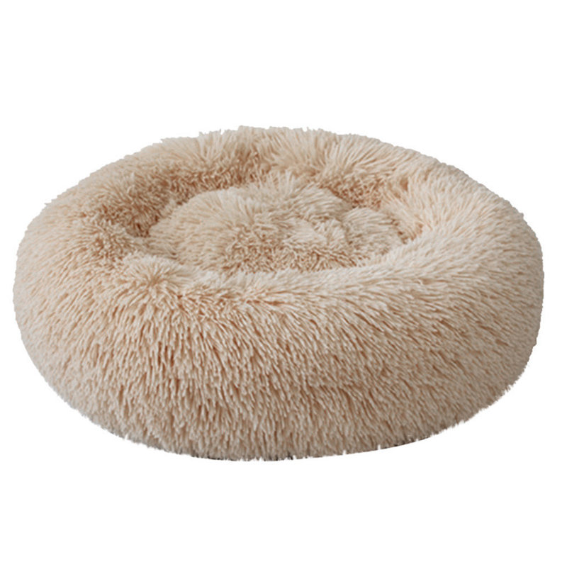 Beignet Toccoa, 31", Brun clair