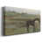 Doré