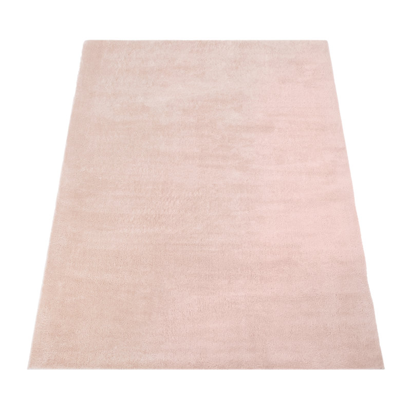Anarely Shaggy Rug in Pink, Rectangle 7'9" x 11' 1"