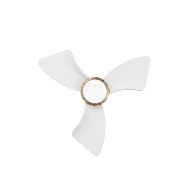 Ventilateur de plafond de 30 pouces, Gold, White