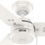 Ventilateur de plafond 36 po Cassius Hunter