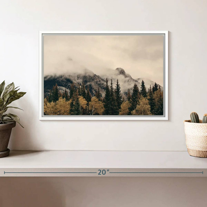 Foggy Banff National Park, Cadre flottant blanc, 13 po x 9 po