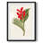 Chordata II -Gallery Wrapped Canvas