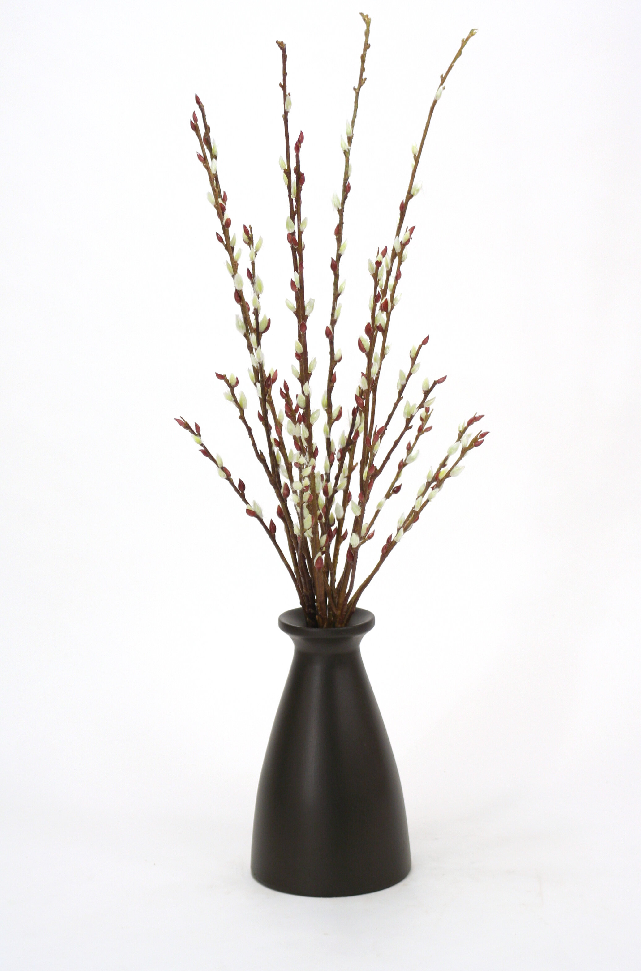 Waterlook® Birch, Pussy Willow Branches in Glass Cylinder - Distinctive  Designs