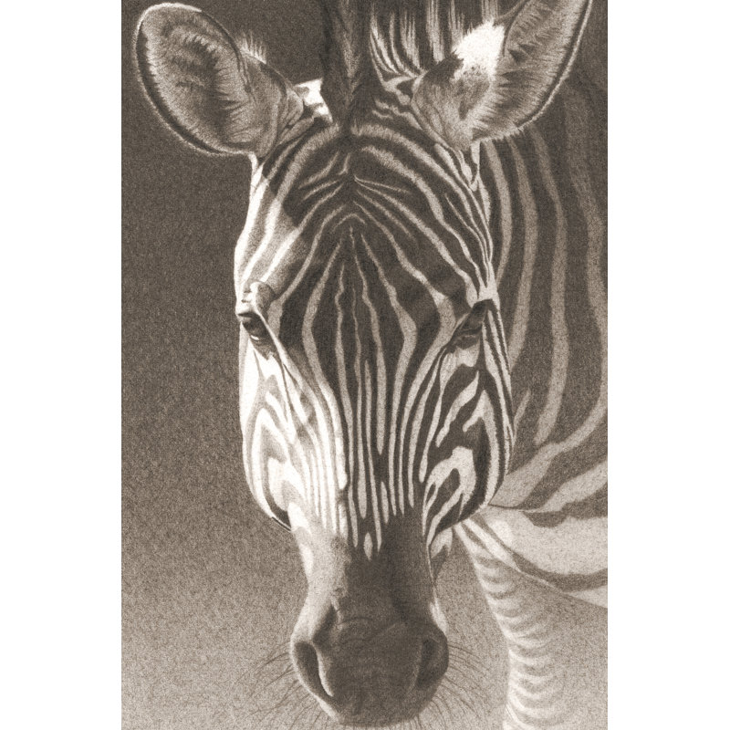 Grant the Zebra (P) by Robert L. Caldwell, Jr. - Graphic Art Print, 122cm H x 81cm W, Wrapped Canvas