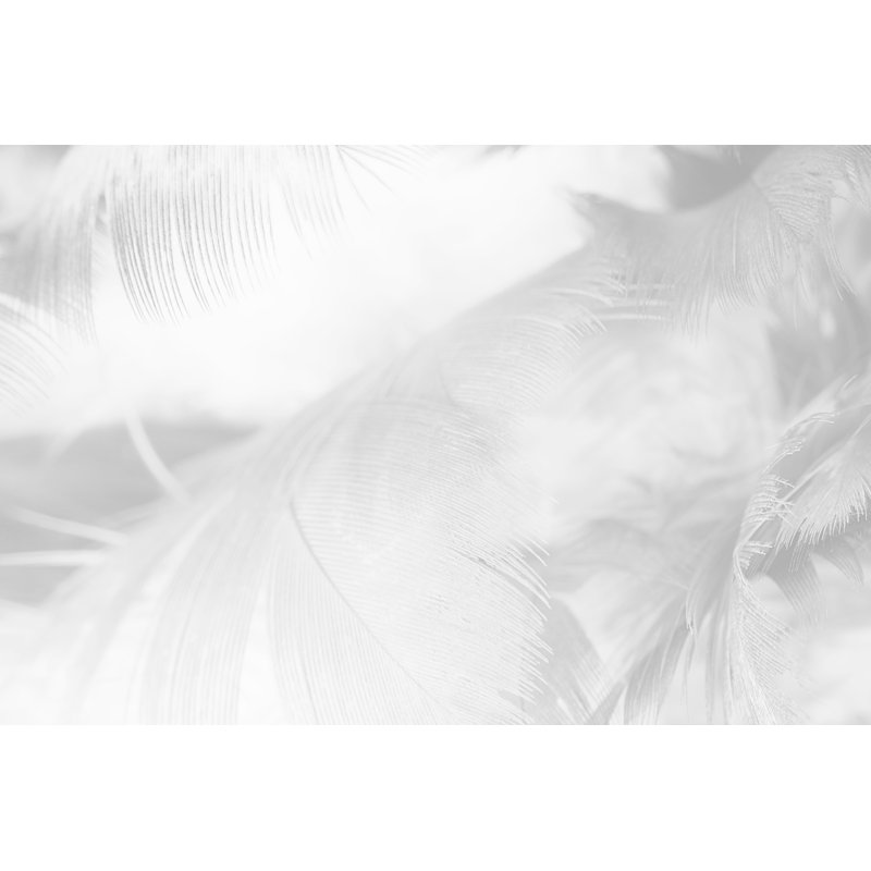 Feather Texture - Wrapped Canvas Print, 30cm H x 46cm W x 3.8cm D