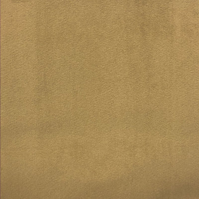 Solid Velvet | Velluto Fabric