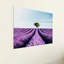 Lavande, Horizons, impression sur verre trempé