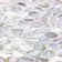 Oyster Penny Round 11.81 In. X 11.81 In. Pearl Mosaic Tile