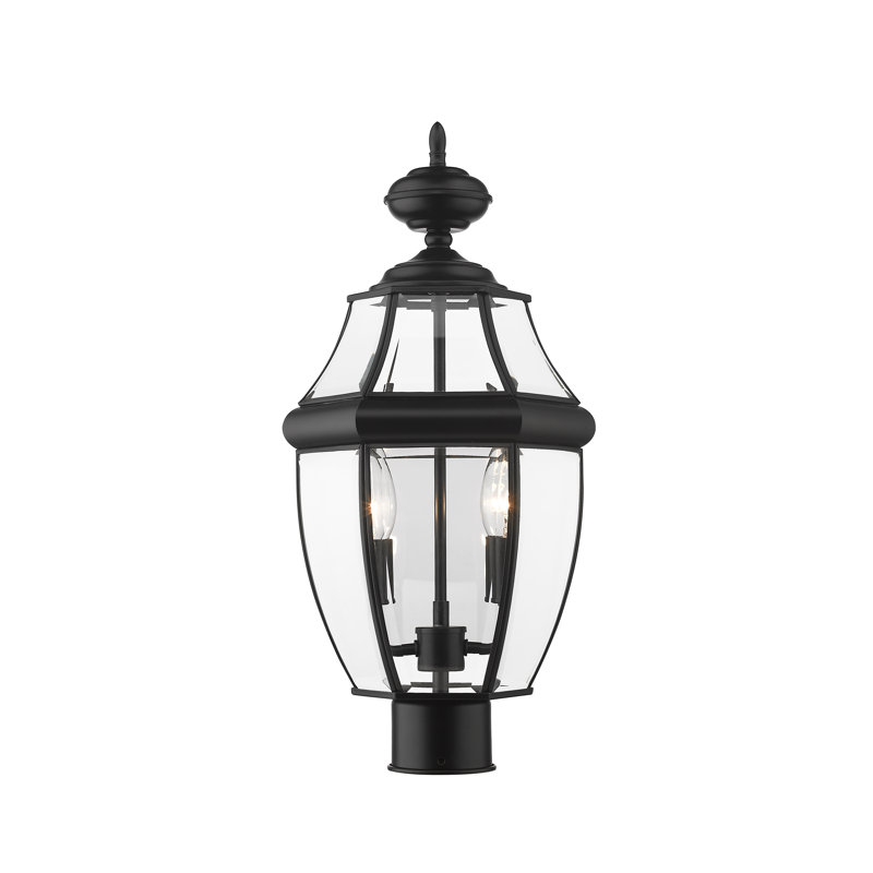 Allianora Lantern Head