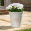 Dinardo Pot Planter-1955219777-1955219782