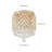 2-lamp Gold Adjustable Iron Ceiling Light