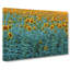 Sunflowers Soon To Bloom - Wrapped Canvas-55317998