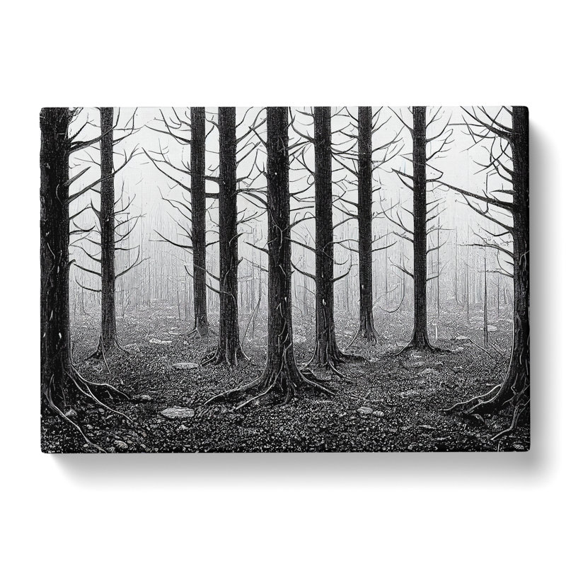 Victorious Forest - Wrapped Canvas Print, 35cm H x 50cm W x 3cm D