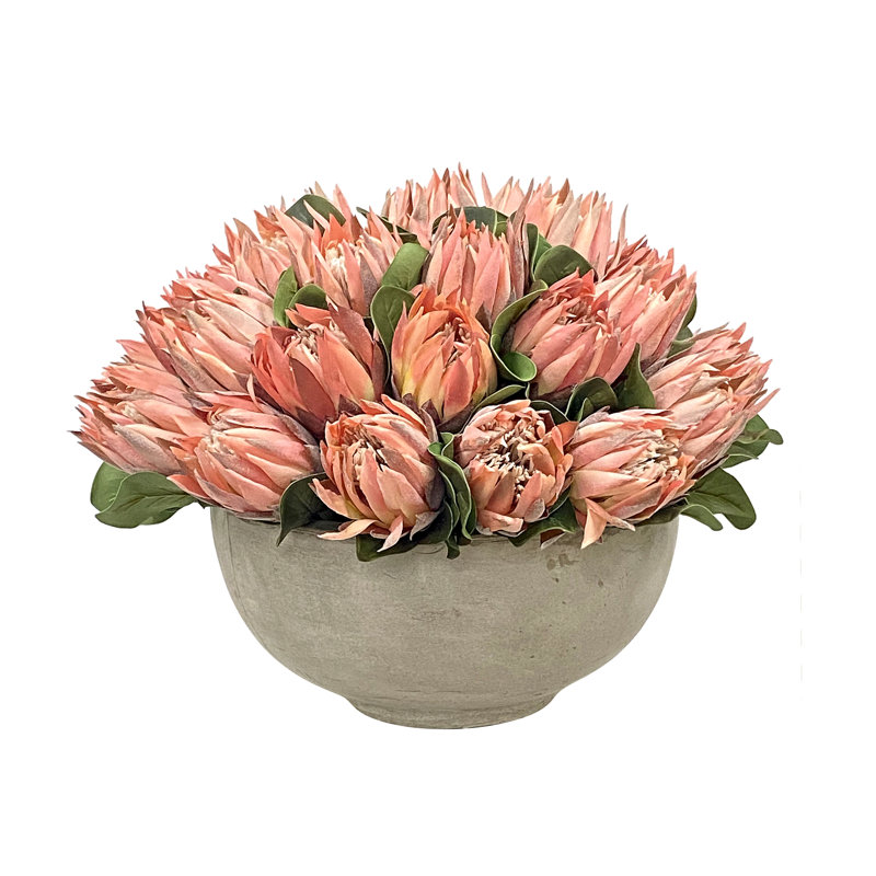 Pink Protea In Bowl