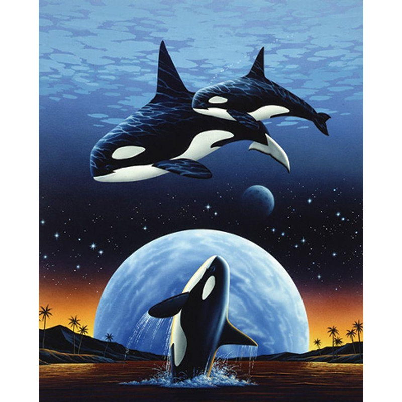 "Breakwater Bay", galerie d'art sur toile tendue, "Orques et lune"