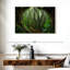 Jungle brumeuse d'Alvord en Asie-107723880