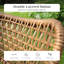 Colzie 2-Person Stackable Wicker Patio Set with Solid Wood Table