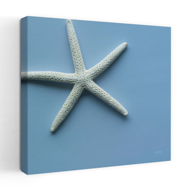 Contemporary Starfish I With Blue Coatal Art