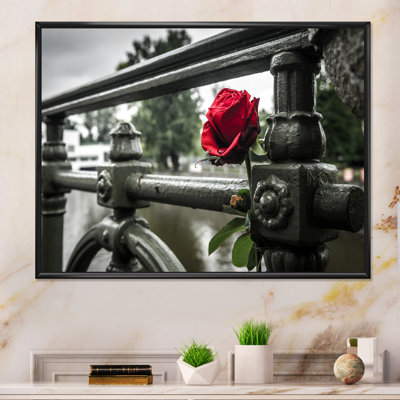 Rose rouge sur un pont - photographie sur toile encadrée