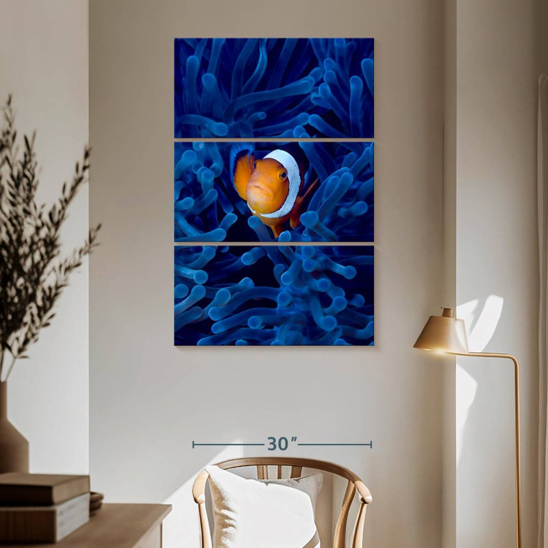 Poisson-clown Brampt Blue Anemone, H 65 po x l 42 po