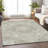 Machine Washable Indoor/Outdoor Claudian ACN1677 Taupe Rug-104372726