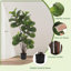 Figuier artificiel figuier - plante artificielle en pot pour la maison et le bureau-1026929464