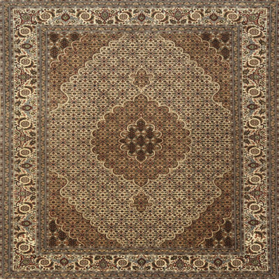 Divina Oriental Indoor Rug
