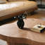 Table basse en bois courbée Retro Unique