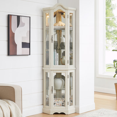 Vitrine lumineuse en verre Curio Cabinet