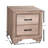 Eleora Solid Wood 2-Drawer Nightstand