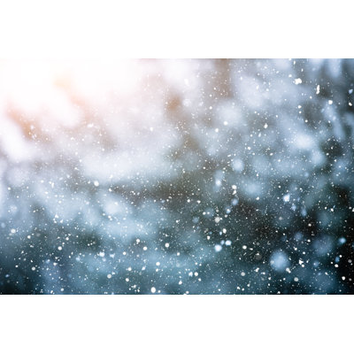 Winter Scene by Andrey Danilovich