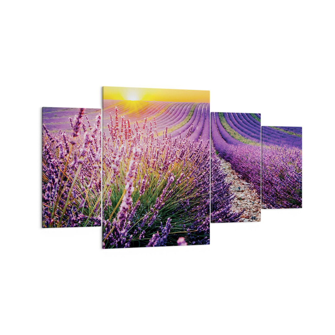 4-tlg. Leinwandbilder-Set Field Lavender Sun