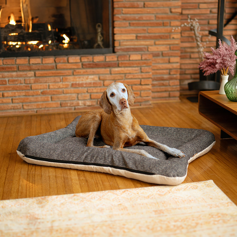Lit pour chien et chat en microsuède réversible ivoire All Day with Cloud 9, H 5 po x l 40 po x P 30 po, Étain Merlin